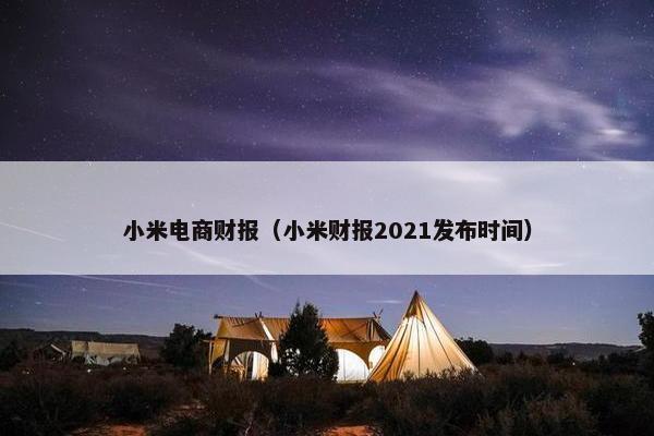 小米电商财报（小米财报2021发布时间）