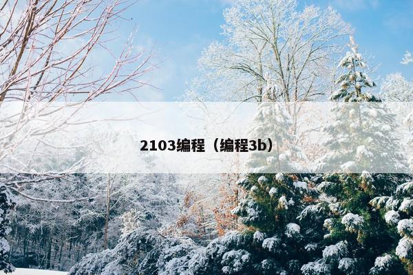 2103编程（编程3b）
