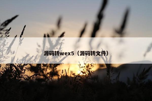 源码转wex5（源码转文件）