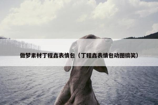 做梦素材丁程鑫表情包（丁程鑫表情包动图搞笑）