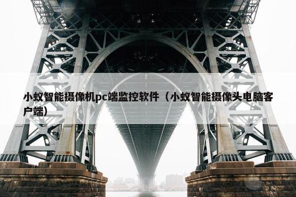 小蚁智能摄像机pc端监控软件（小蚁智能摄像头电脑客户端）