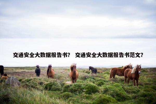 交通安全大数据报告书？ 交通安全大数据报告书范文？