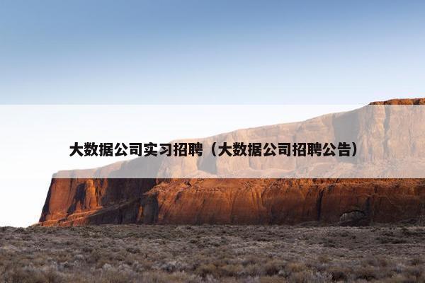 大数据公司实习招聘（大数据公司招聘公告）