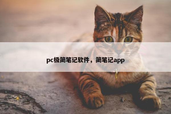 pc极简笔记软件，简笔记app