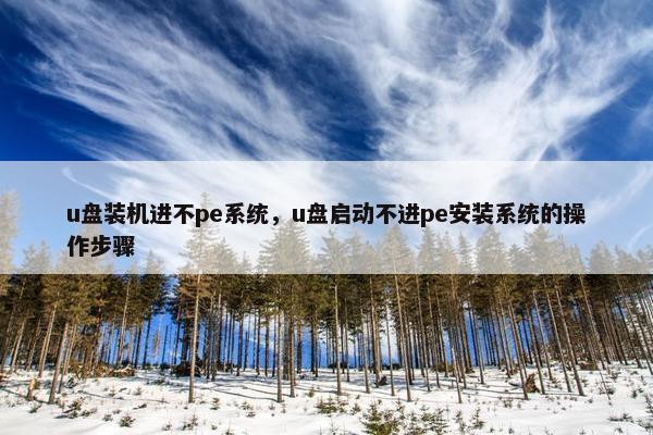 u盘装机进不pe系统，u盘启动不进pe安装系统的操作步骤