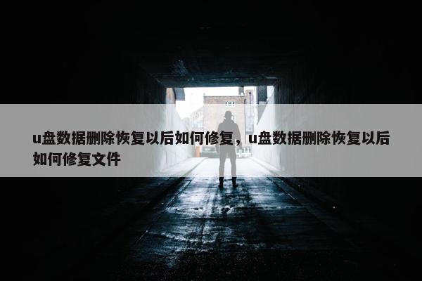u盘数据删除恢复以后如何修复，u盘数据删除恢复以后如何修复文件
