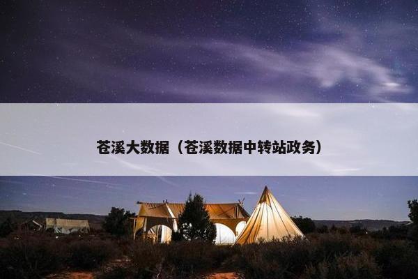 苍溪大数据（苍溪数据中转站政务）