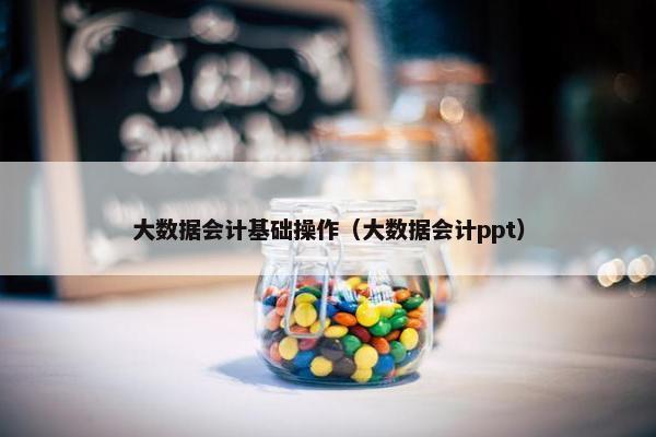 大数据会计基础操作（大数据会计ppt）