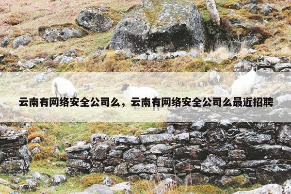 云南有网络安全公司么，云南有网络安全公司么最近招聘