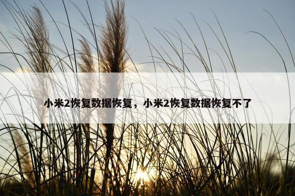 小米2恢复数据恢复，小米2恢复数据恢复不了