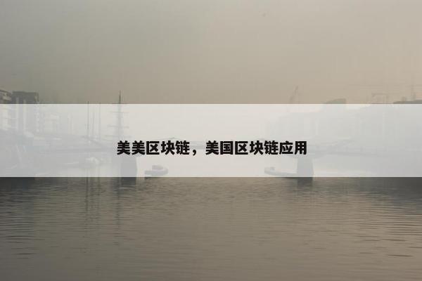美美区块链，美国区块链应用