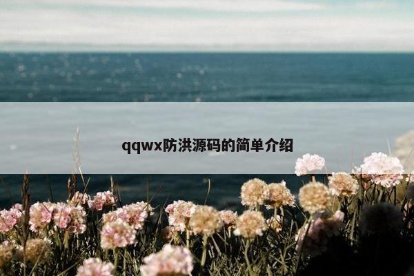 qqwx防洪源码的简单介绍