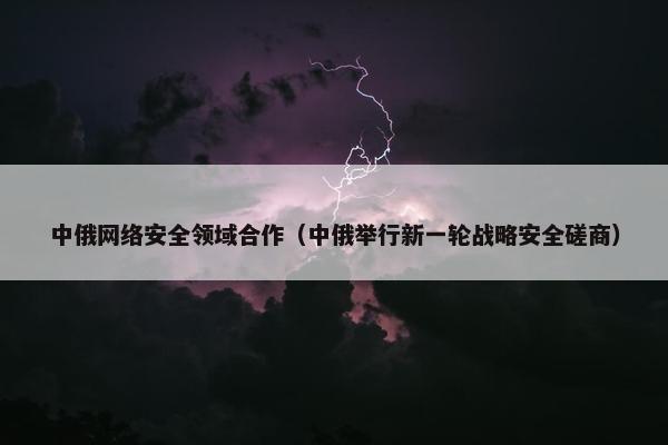 中俄网络安全领域合作（中俄举行新一轮战略安全磋商）
