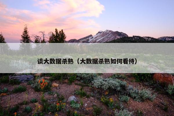 谈大数据杀熟（大数据杀熟如何看待）