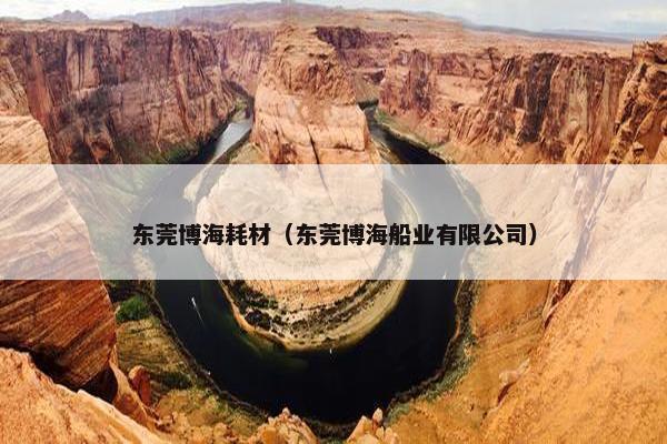 东莞博海耗材（东莞博海船业有限公司）