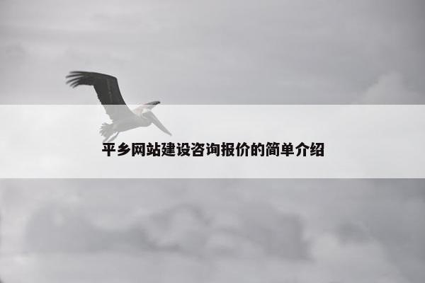 平乡网站建设咨询报价的简单介绍