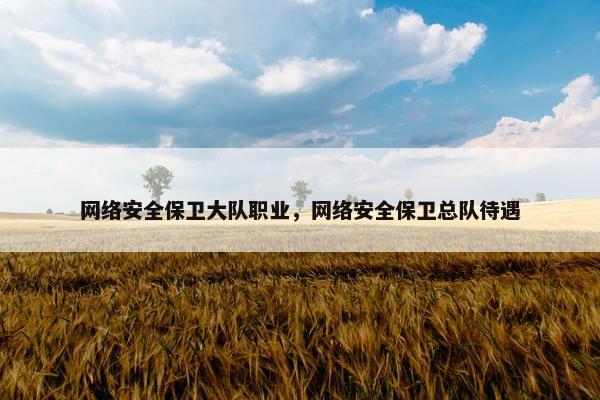 网络安全保卫大队职业，网络安全保卫总队待遇