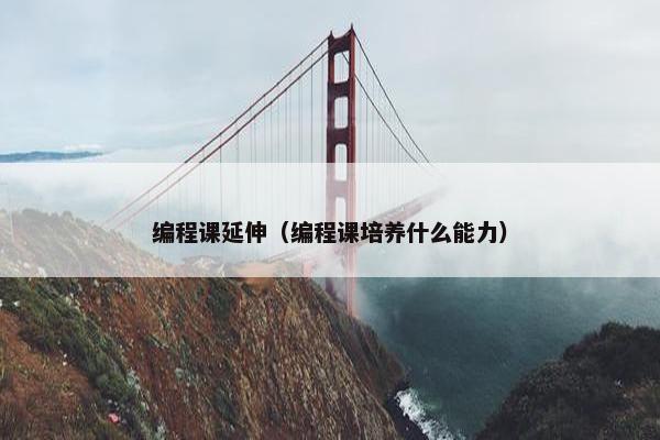 编程课延伸（编程课培养什么能力）