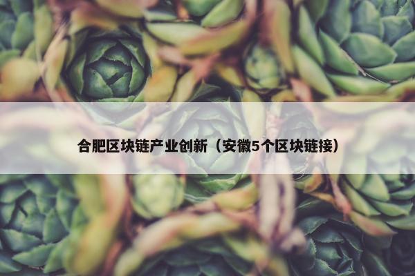 合肥区块链产业创新（安徽5个区块链接）
