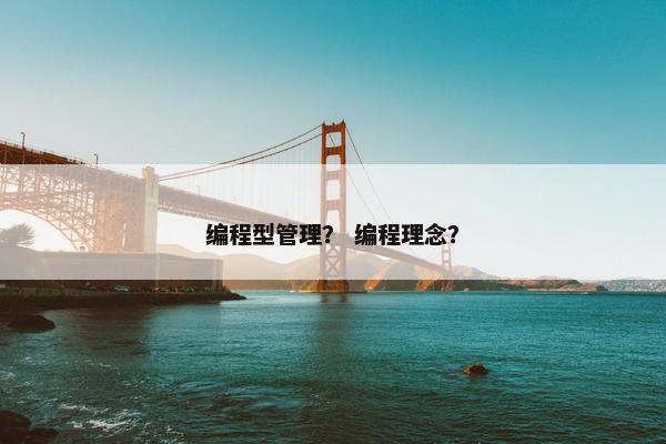 编程型管理？ 编程理念？