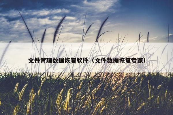 文件管理数据恢复软件（文件数据恢复专家）