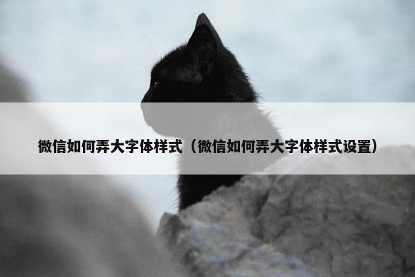 微信如何弄大字体样式（微信如何弄大字体样式设置）