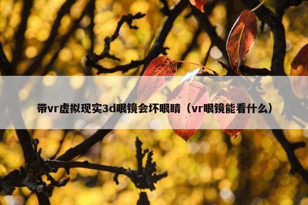 带vr虚拟现实3d眼镜会坏眼睛（vr眼镜能看什么）