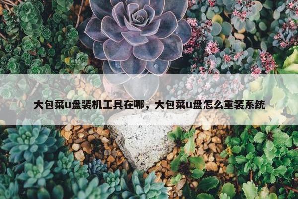 大包菜u盘装机工具在哪，大包菜u盘怎么重装系统