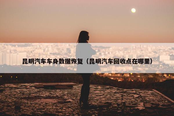 昆明汽车车身数据恢复（昆明汽车回收点在哪里）