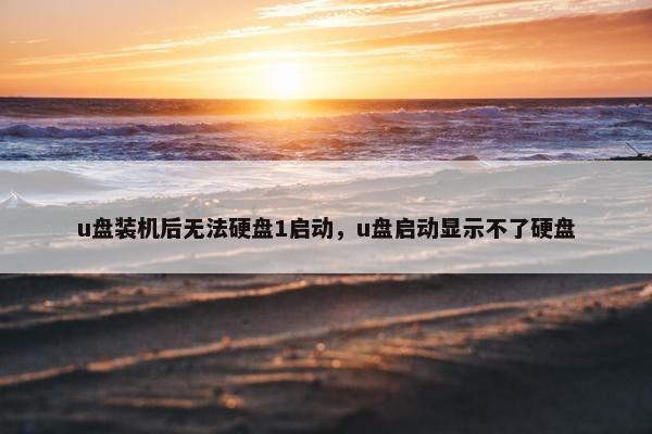u盘装机后无法硬盘1启动，u盘启动显示不了硬盘