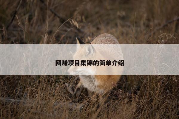 网赚项目集锦的简单介绍