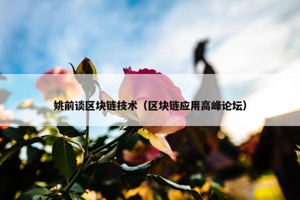 姚前谈区块链技术（区块链应用高峰论坛）