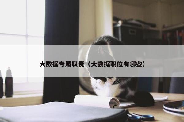 大数据专属职责（大数据职位有哪些）