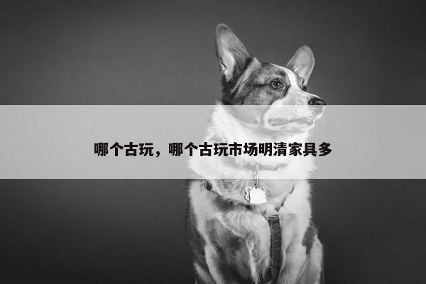 哪个古玩，哪个古玩市场明清家具多