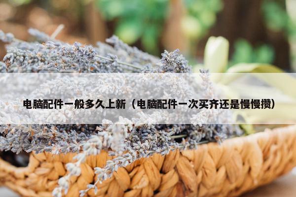 电脑配件一般多久上新（电脑配件一次买齐还是慢慢攒）