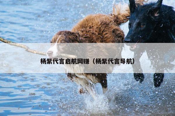 杨紫代言启航网赚（杨紫代言导航）