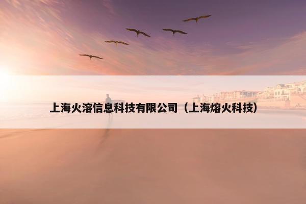 上海火溶信息科技有限公司（上海熔火科技）