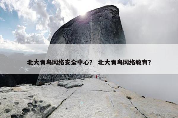 北大青鸟网络安全中心？ 北大青鸟网络教育？