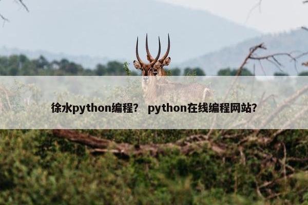 徐水python编程？ python在线编程网站？