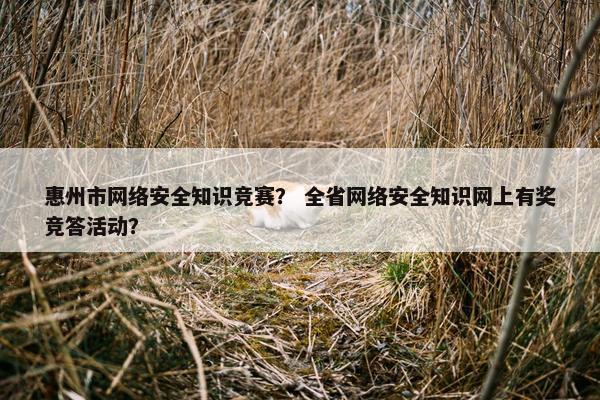 惠州市网络安全知识竞赛？ 全省网络安全知识网上有奖竞答活动？