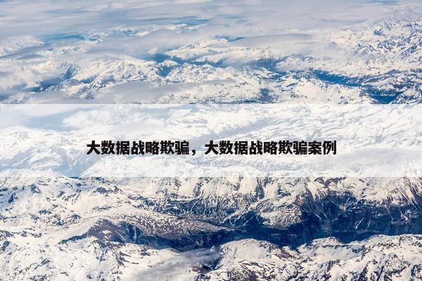 大数据战略欺骗，大数据战略欺骗案例