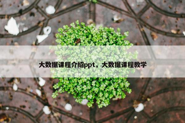 大数据课程介绍ppt，大数据课程教学