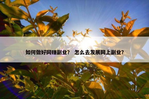 如何做好网赚副业？ 怎么去发展网上副业？