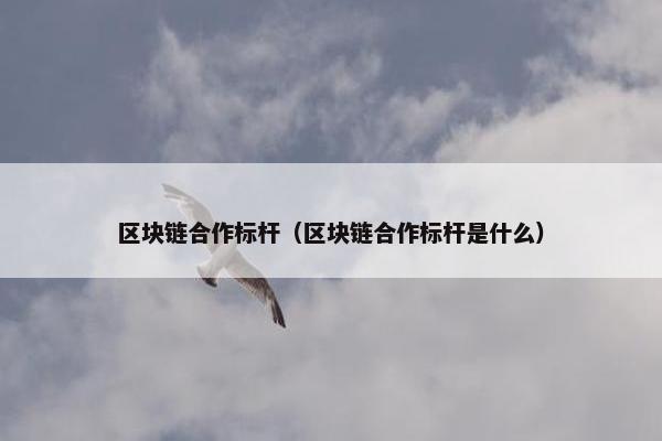 区块链合作标杆（区块链合作标杆是什么）