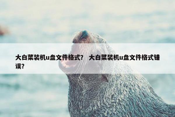 大白菜装机u盘文件格式？ 大白菜装机u盘文件格式错误？