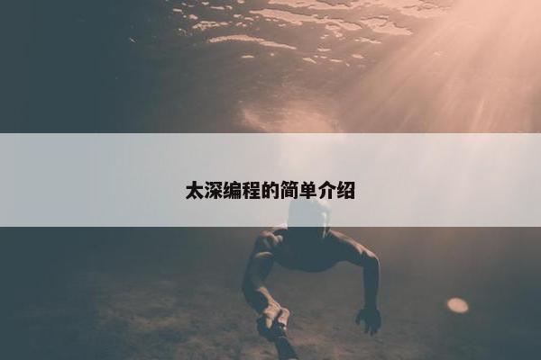 太深编程的简单介绍