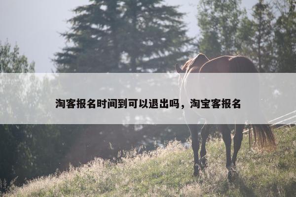 淘客报名时间到可以退出吗，淘宝客报名