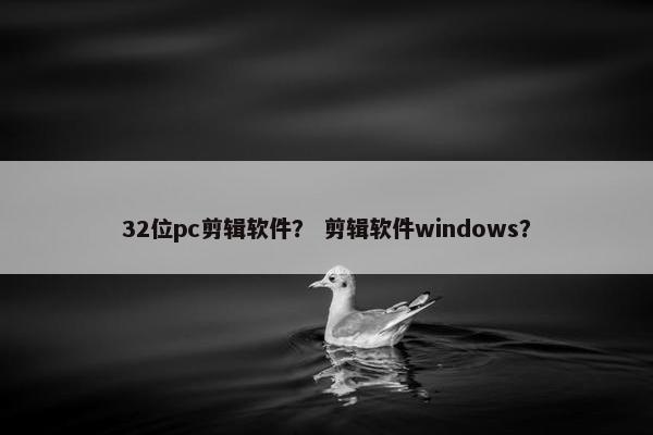 32位pc剪辑软件？ 剪辑软件windows？