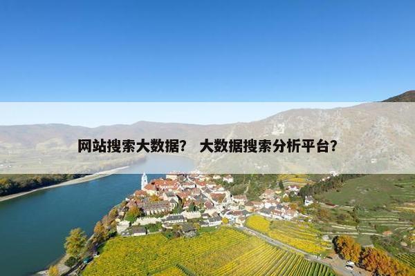 网站搜索大数据？ 大数据搜索分析平台？
