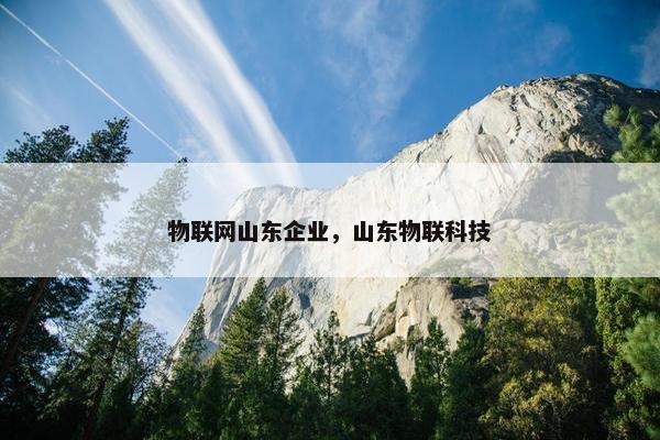 物联网山东企业，山东物联科技